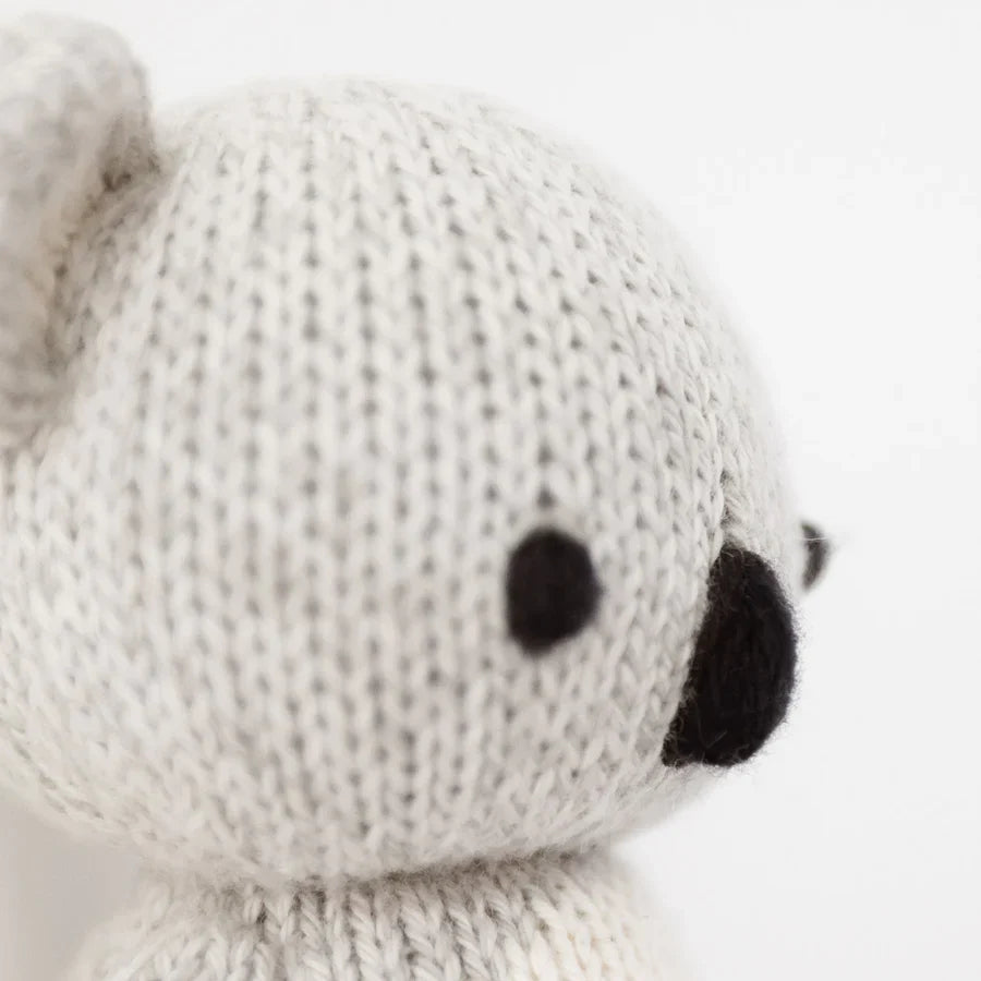 Baby koala | Cuddle + Kind