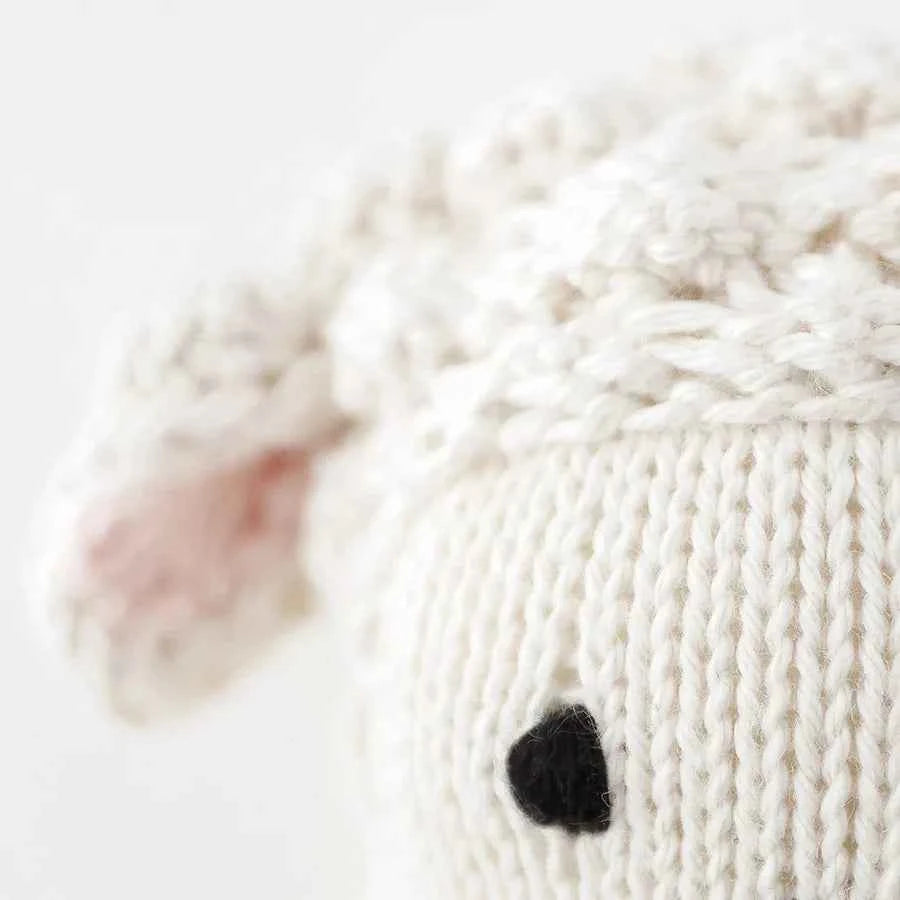 Baby lamb | Cuddle + Kind