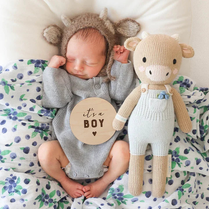 Asher the cow | Cuddle + Kind