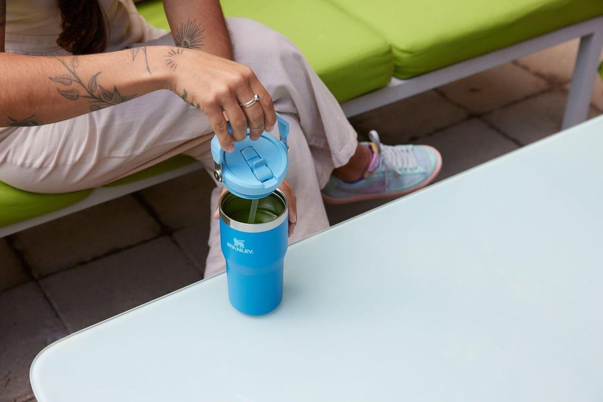 Stanley IceFlow 2.0 Flip Straw Tumbler with Handle 20 oz | Twist On Lid and Flip Up Straw | Leak Resistant Water Bottle | Insulated Stainless Steel | BPA-Free | Meadow ๐ All In One Marketplace Canada