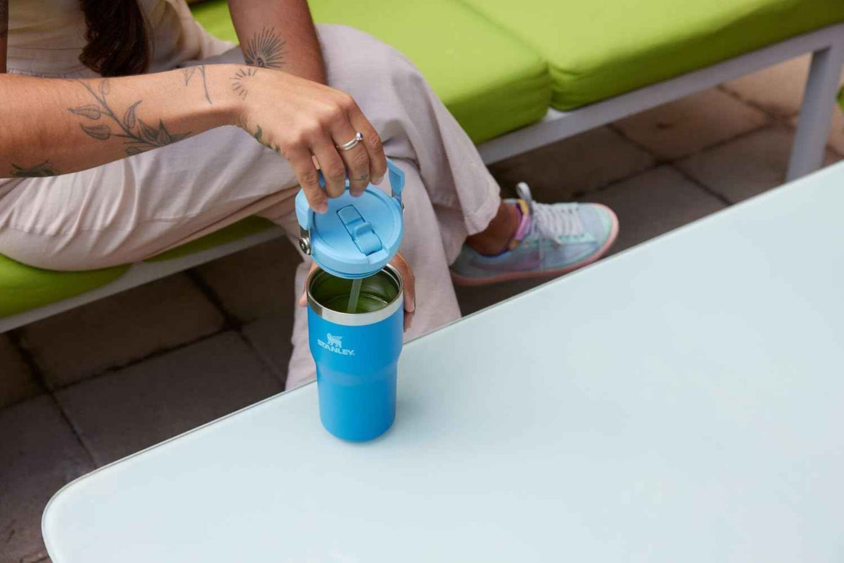 Stanley IceFlow 2.0 Flip Straw Tumbler with Handle 20 oz | Twist On Lid and Flip Up Straw | Leak Resistant Water Bottle | Insulated Stainless Steel | BPA-Free | Meadow ๐ All In One Marketplace Canada