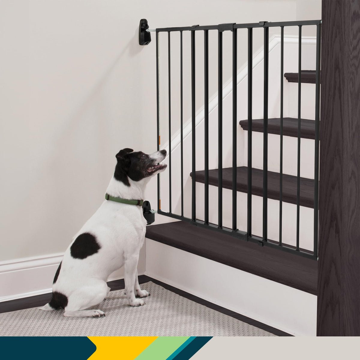 Safety 1st Top of Stairs Expanding Metal Baby Gate β Hardware-Mounted for Stairs, Hallways & Doors, Adjustable 27β-42β Wide, Pet & Dog Gate, Black π All In One Marketplace Canada