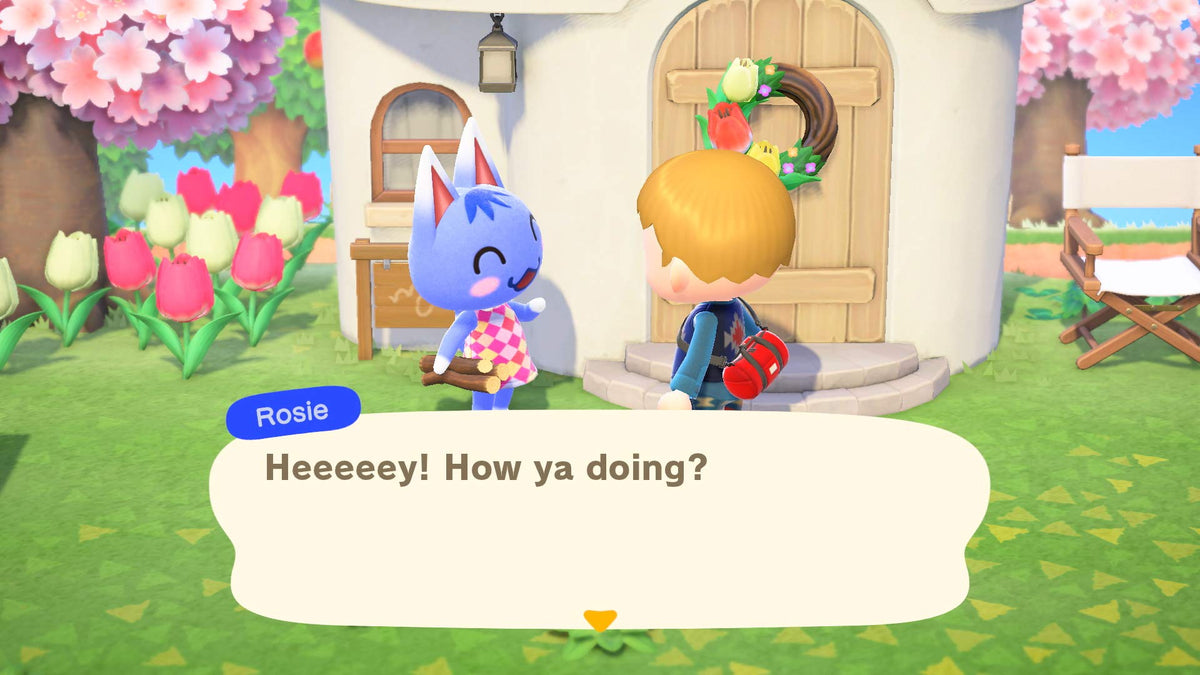 Animal Crossing: New Horizons (CAN Version) đ All In One Marketplace Canada