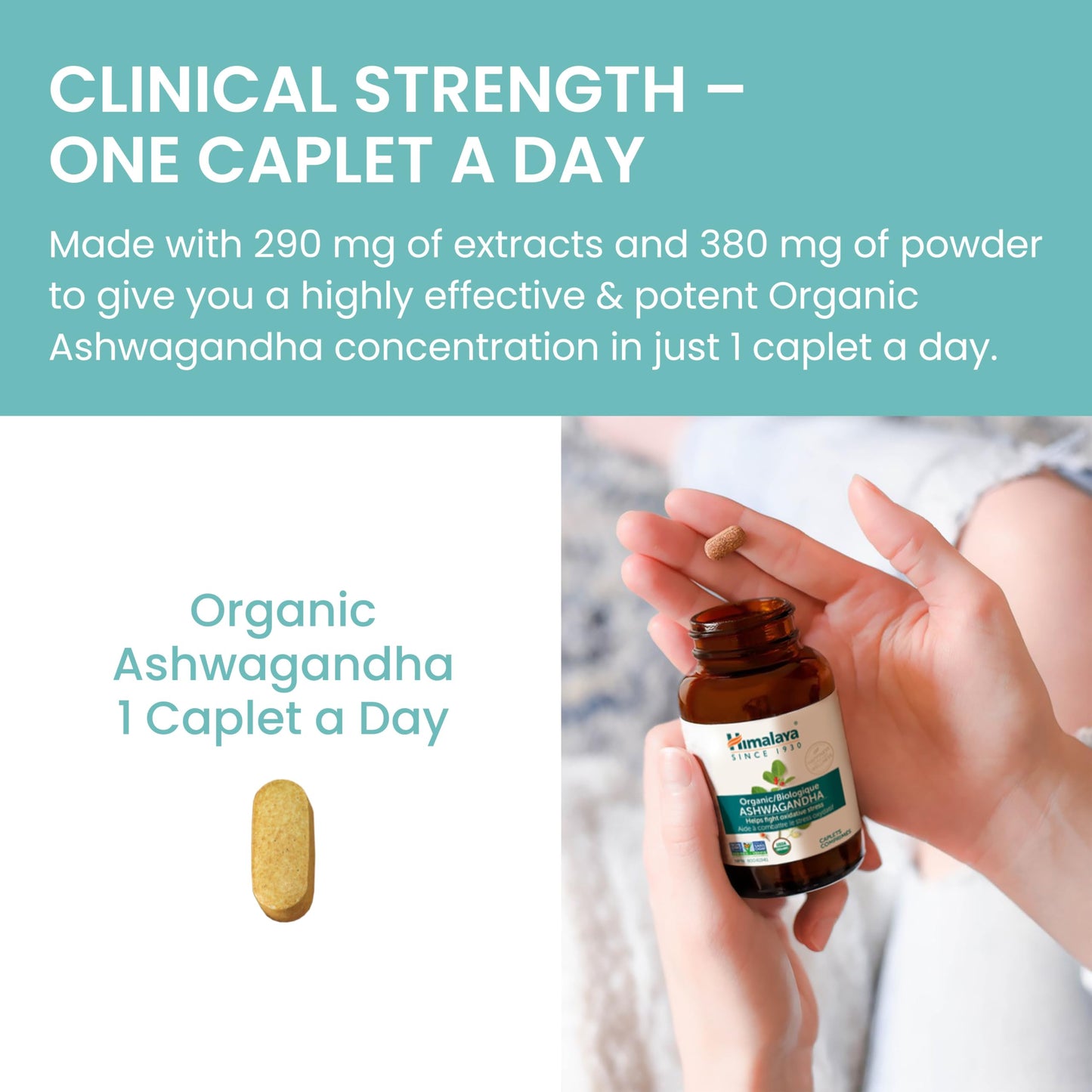 Himalaya Organic Ashwagandha, USDA Certified Organic, Non-GMO, Gluten Free Supplement, 100% Ashwagandha Powder & Extract. (90 Count) ๐ All In One Marketplace Canada