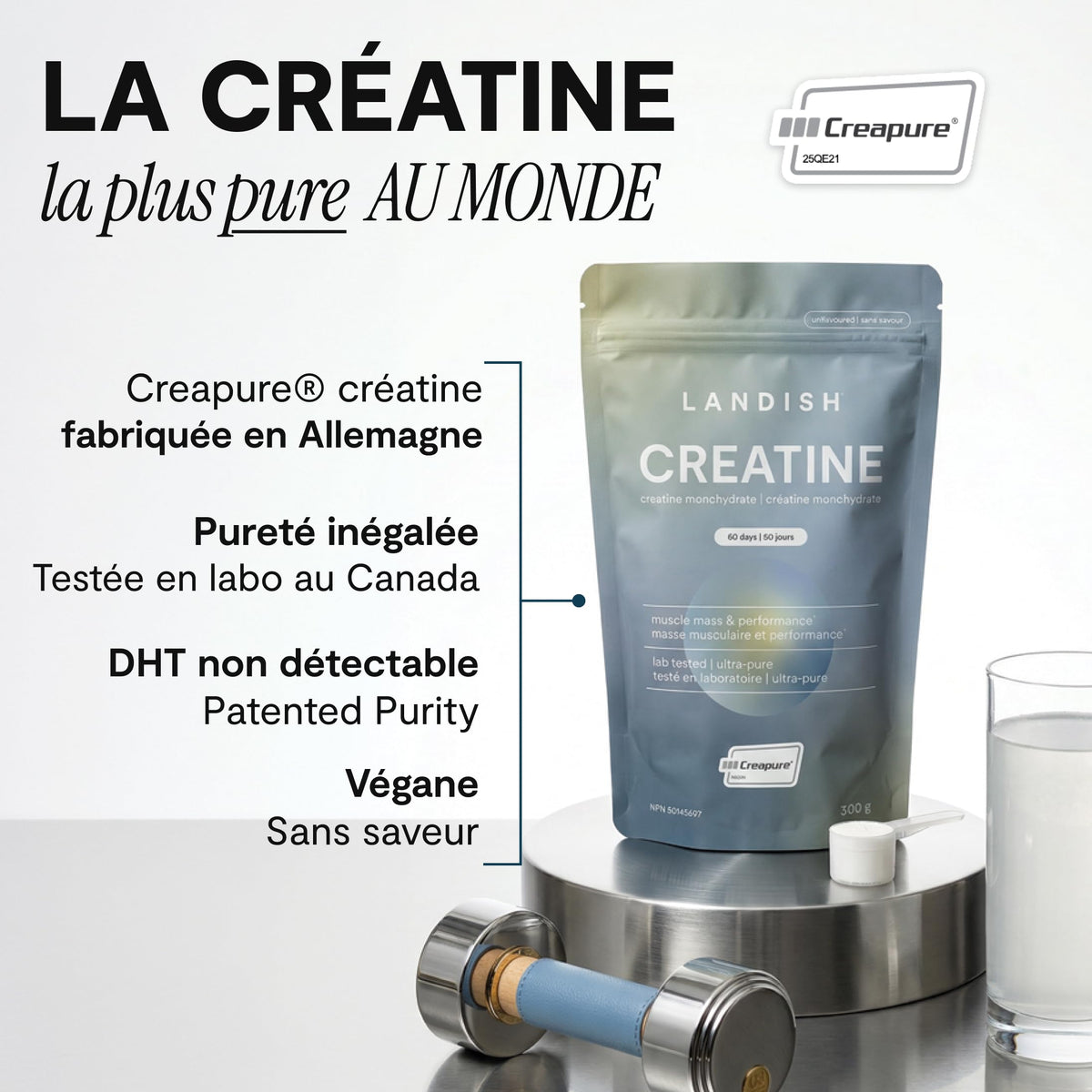 Landish Creatine Monohydrate Powder – Creapure®, German-Made Micronized Creatine – Canadian Brand – Increases Muscle Mass & Improves Strength – For Women & Men – Vegan –Unflavoured – 300 g (60 Servings) 🍁 All In One Marketplace Canada