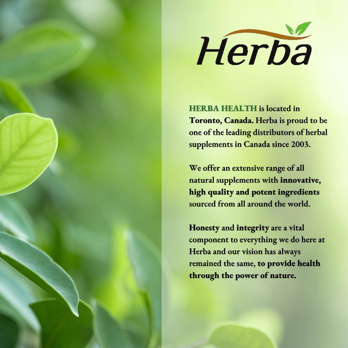 Herba Turmeric Supplements for Inflammation with Black Pepper and Ginger - 180 Capsules | 5,555mg Equiv. with 95% Turmeric Curcumin Supplements with Black Pepper | Joint Pain Relief | Made in Canada ๐ All In One Marketplace Canada