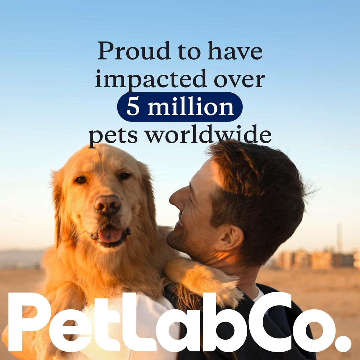 Petlab Co. Joint Care Chews, High Levels of Glucosamine for Dogs, Green Lipped Mussels, Omega 3 and Turmeric, Dog Hip and Joint Supplement to Actively Support Mobility, Packaging May Vary ๐ All In One Marketplace Canada