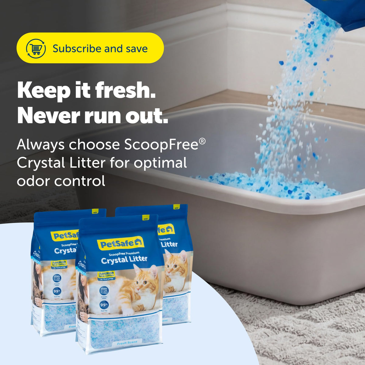 PetSafe ScoopFree Premium Fresh Crystal Cat Litter, 3-Pack โ Lightly Scented Litter โ Superior Odor Control โ Low Tracking for Less Mess โ Lasts Up to 6 Months, 24 lbs Total (3 Pack of 8 lb Bags) ๐ All In One Marketplace Canada