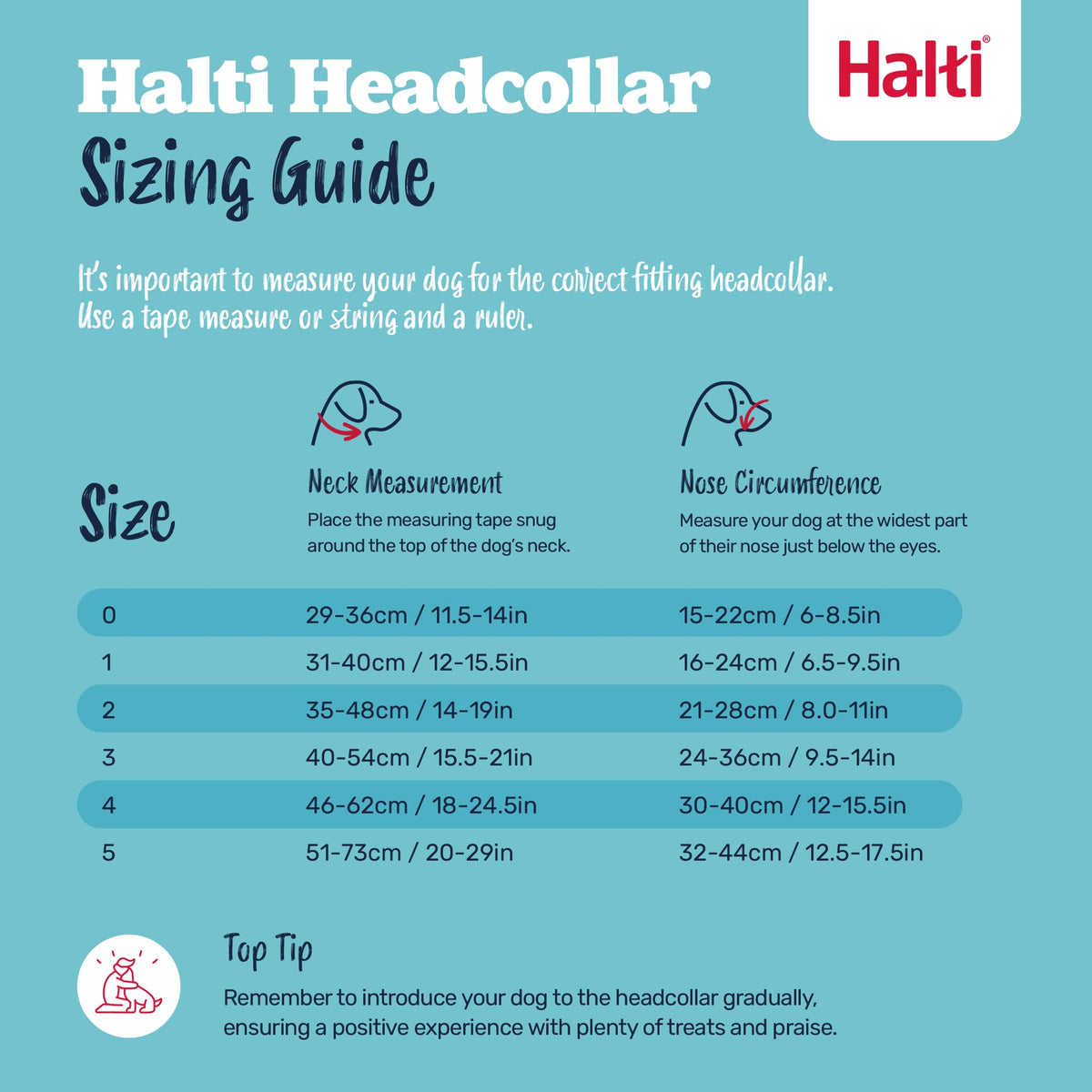 Halti Headcollar - Stop Your Dog Pulling on the Leash. Adjustable, Reflective and Lightweight, with Padded Nose Band. Dog Training Anti-Pull Collar for Medium Dogs (Size 3, Black) ๐ All In One Marketplace Canada