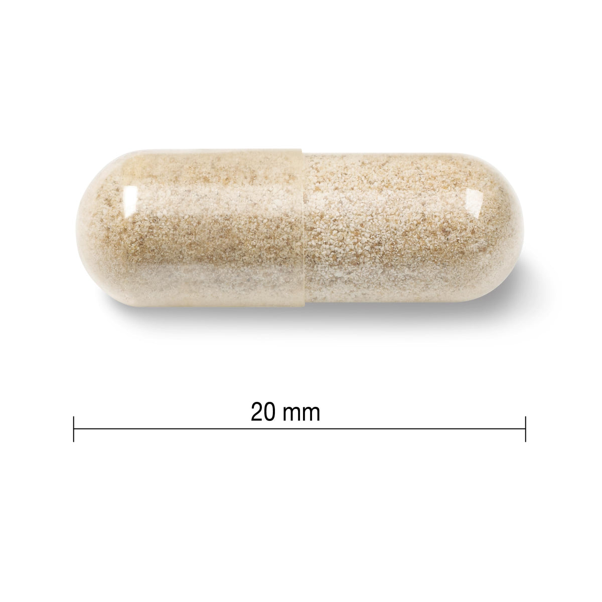 Jamieson Iron 28 mg, with Folic Acid, Vitamin B2, Vitamin B12, and Vitamin C, Helps Prevents Iron Deficiency, Provides Superior Absorption, and Gentle on the Stomach. Non-GMO, Gluten-Free, 150 Vegetarian Capsules ๐ All In One Marketplace Canada