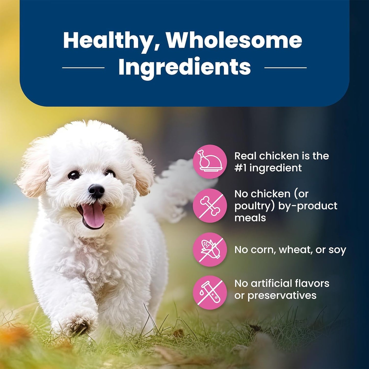 Blue Buffalo Life Protection Formula Small Breed Dog Food Natural Dry Dog Food for Adult Dog Chicken and Brown Rice 6 lb. Bag Small Bag ๐ All In One Marketplace Canada