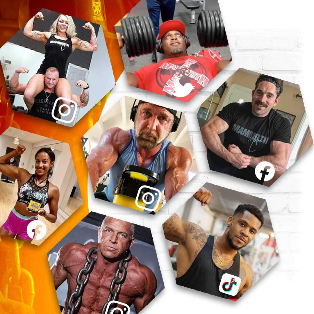 MAMMOTH PUMP β Pre Workout Powder, Superior Muscle Pumps, Increase Strength & Endurance, Explosive Power & Energy Supplement, Heightened Focus, Quick Recovery, Reduced Soreness (30 Serves, Blue Raspberry) π All In One Marketplace Canada