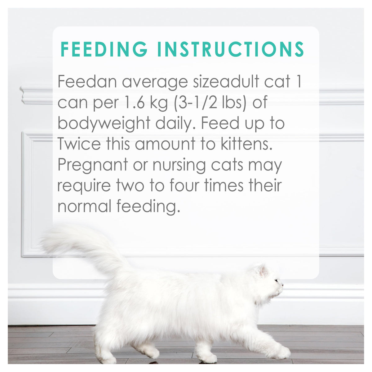 Fancy Feast Pâté Wet Cat Food, Ocean Whitefish & Tuna Feast 85g (24 Pack) 🍁 All In One Marketplace Canada