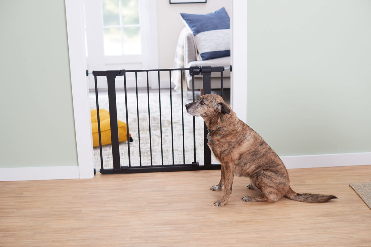 Safety 1st Easy Install Walk-Through Gate, Black ๐ All In One Marketplace Canada
