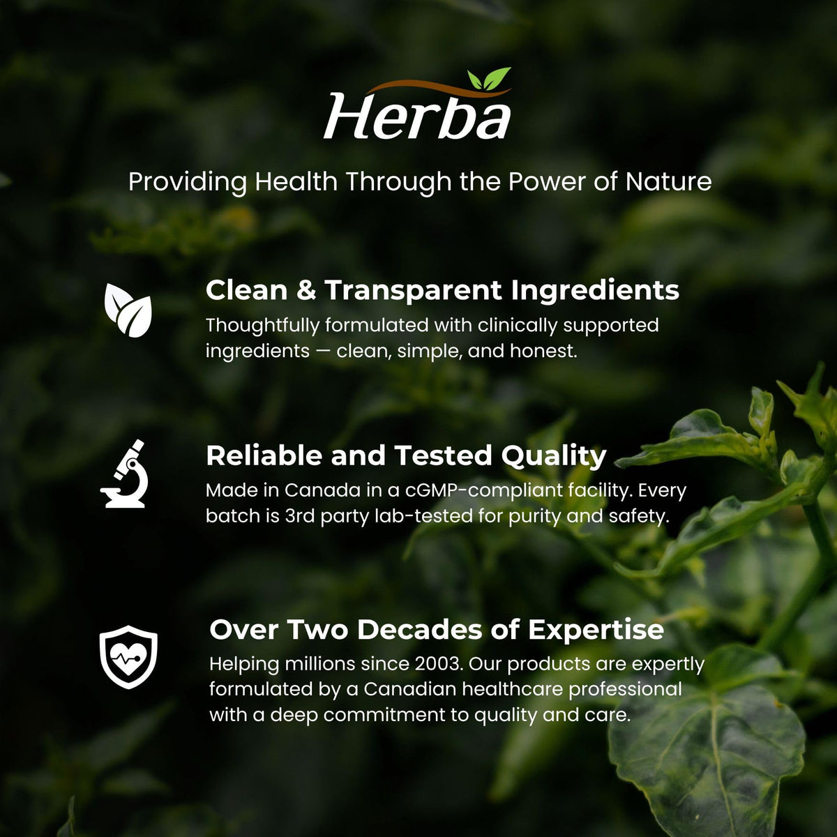 Herba Hyaluronic Acid Supplement 200mg - 100 Capsules | 100% Purity Hyaluronic Acid Capsules with Vitamin C to Support Joint and Bone Health | Made in Canada ๐ All In One Marketplace Canada