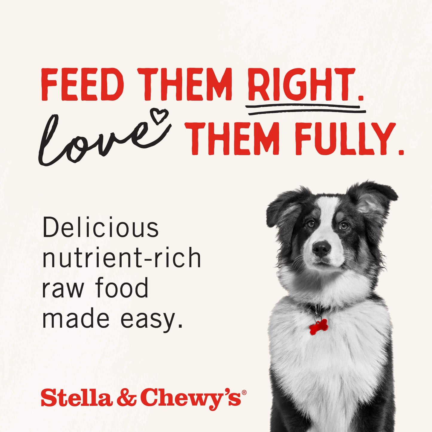 Stella & Chewy's Freeze-Dried Raw Single Ingredient Lamb Heart Treats, 85g Bag ๐ All In One Marketplace Canada