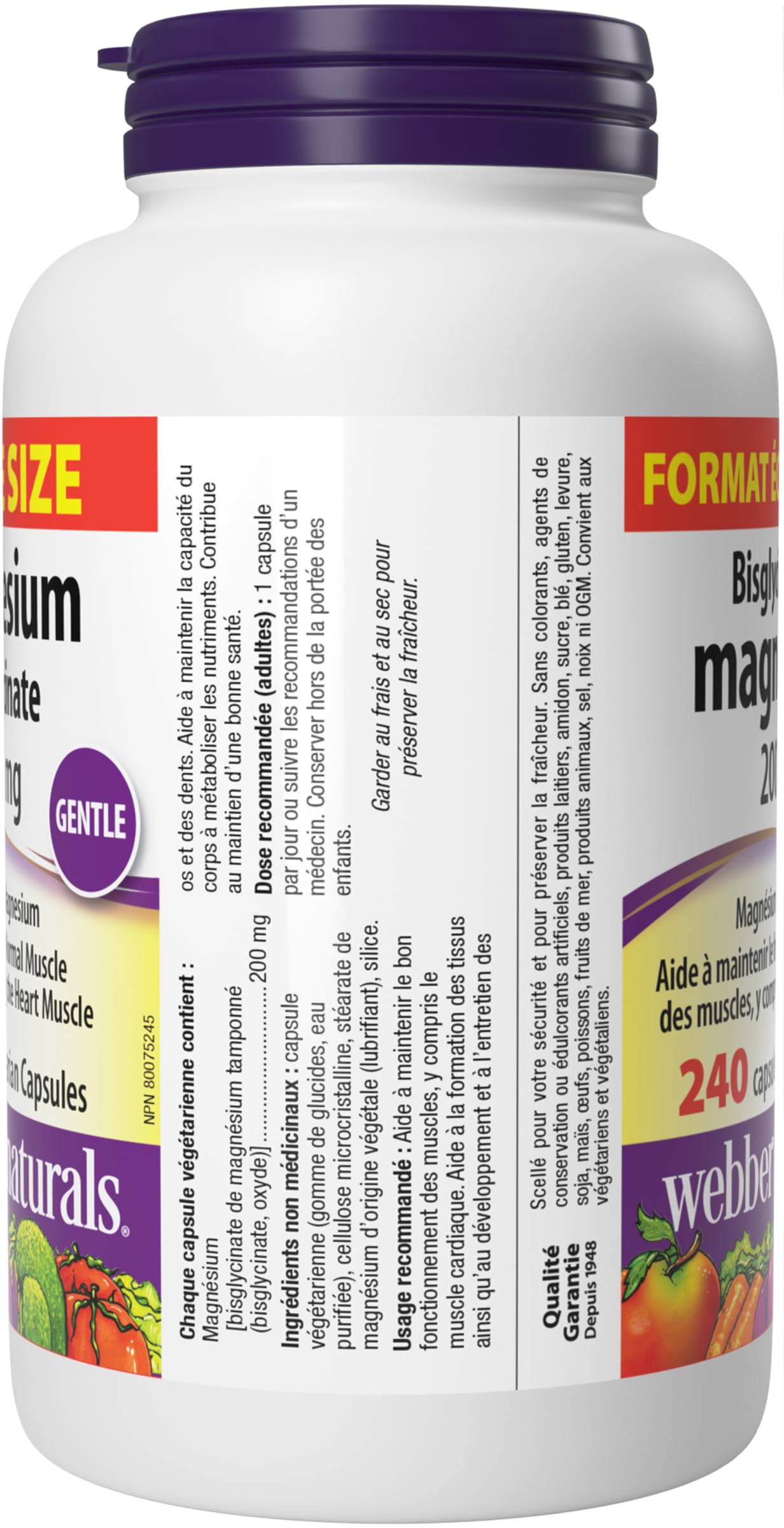 Webber Naturals Magnesium Bisglycinate 200 mg, 240 Capsules, Supports Bone and Muscle Functions, Vegan ๐ All In One Marketplace Canada