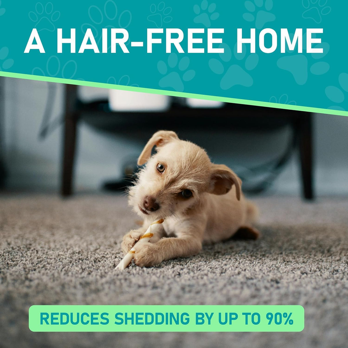 Maxpower Planet Pet Grooming Brush - Double Sided Shedding, Dematting (A1 Blue, Large) ๐ All In One Marketplace Canada