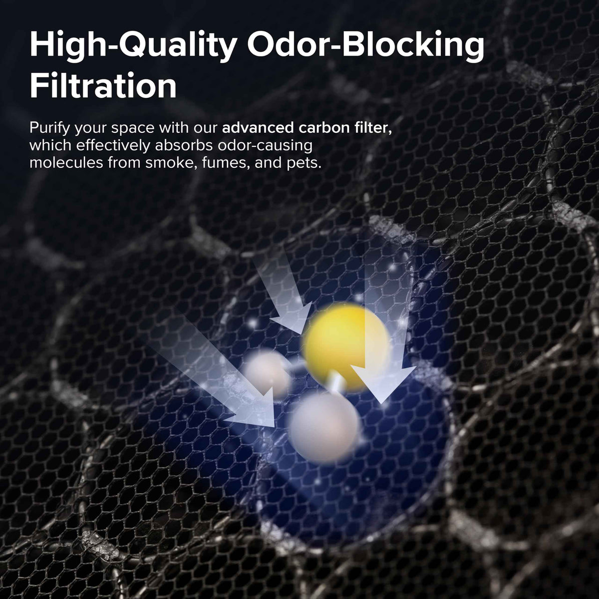 Levoit Vital 100S-P Air Purifier Genuine Replacement Filter, 1 Pack, White ๐ All In One Marketplace Canada