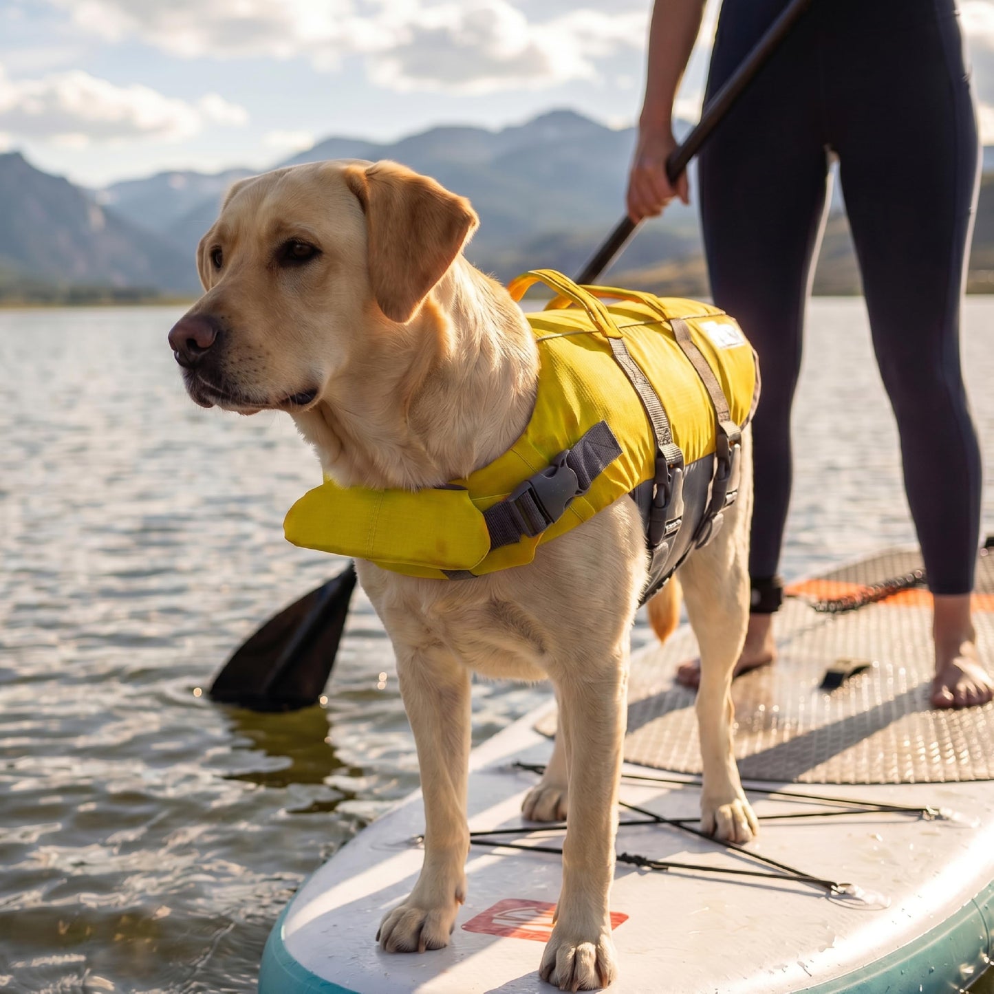 Outward Hound Granby Splash Dog Life Jacket with Handle, Reflective Floating Vest for Swimming & Boating, Maximum Buoyancy, All Skill Levels, Large Dogs (28โ32" Girth), Yellow, Large ๐ All In One Marketplace Canada