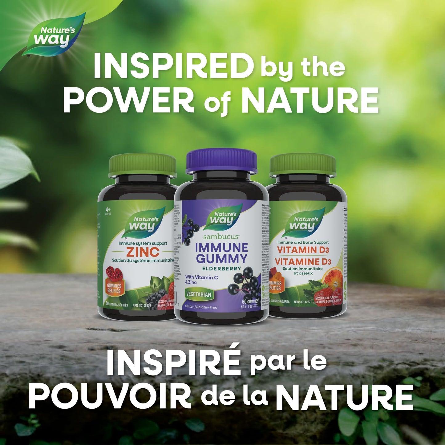 Nature's Way Sambucus Immune Support Gummies – Elderberry with Vitamin C & Zinc – Supports Immune Function and Relieves Cold & Flu Symptoms – Vegetarian, Gluten-Free for Adults & Kids 4+ – 60 Gummies 🍁 All In One Marketplace Canada