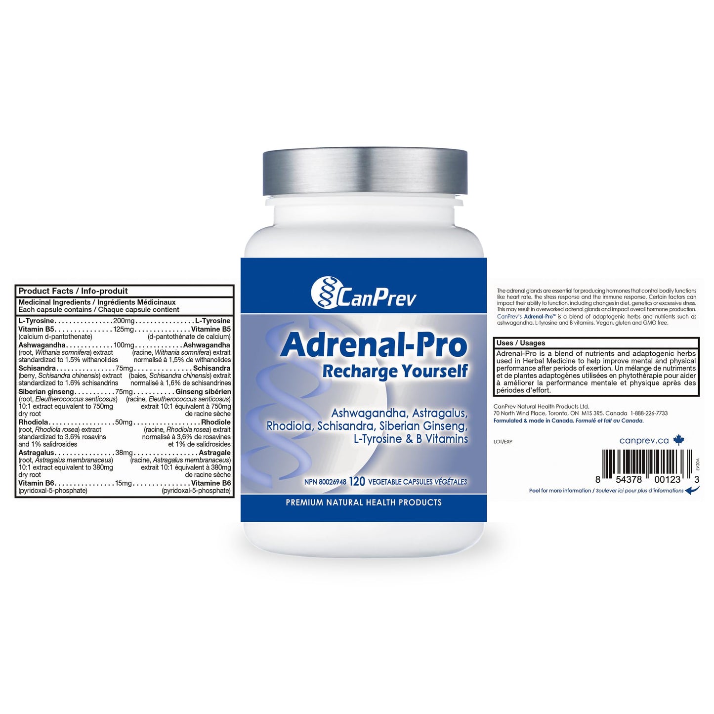CanPrev Adrenal-Pro Recharge Yourself, 120 Vegan V-Caps with Siberian Ginseng, 30-Day Supply with Ashwagandha, Astragalus, L-Tyrosine, B5 & B6 - Supports Energy Levels, Physical and Mental Vitality 🍁 All In One Marketplace Canada