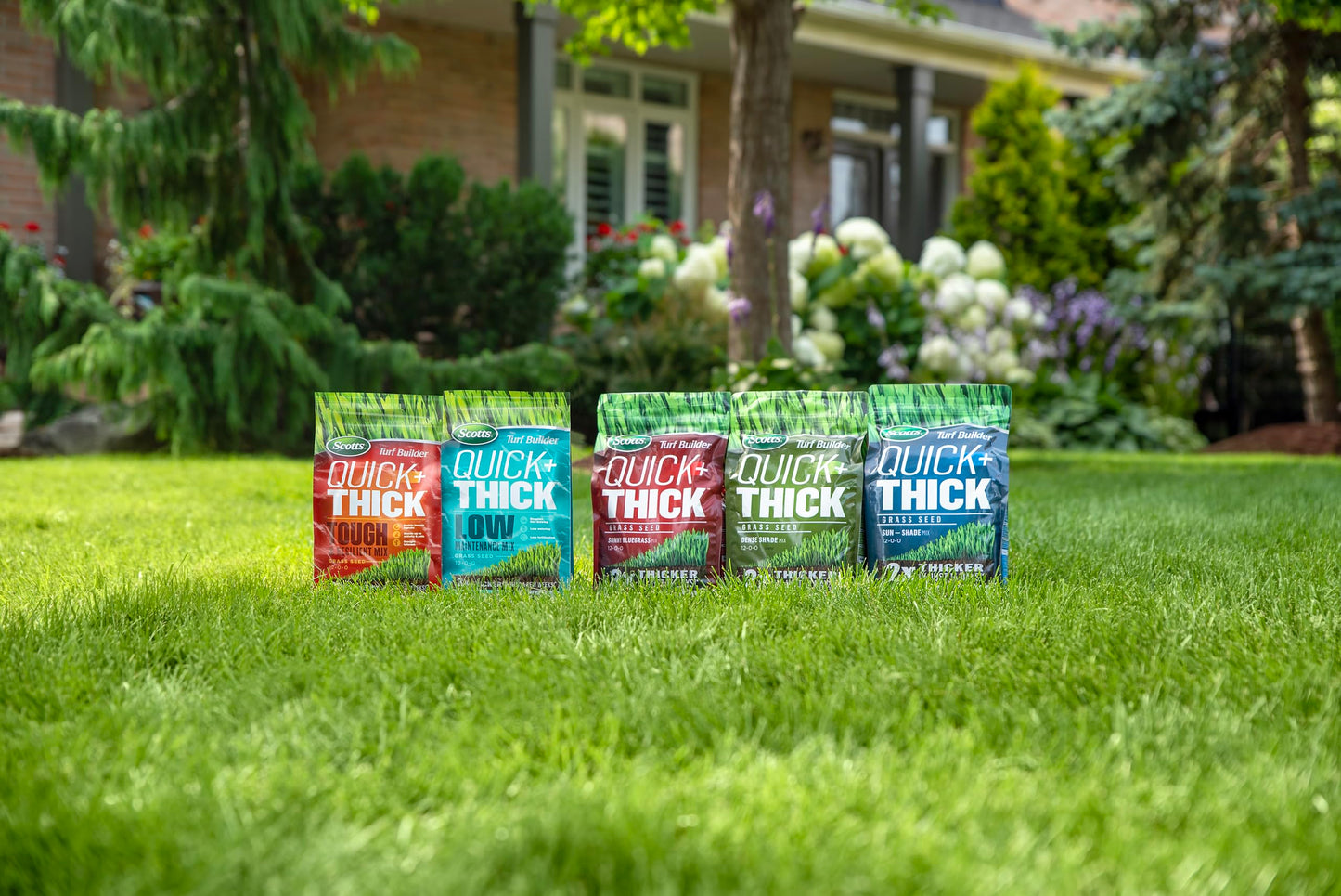Scotts Turf Builder Quick + Thick Tough & Resilient Grass Seed Mix, 1.2kg (167 sq Meters / 1,805 sq feet Coverage) | Resilient Mix for Active Yards, Pets & Pests š All In One Marketplace Canada