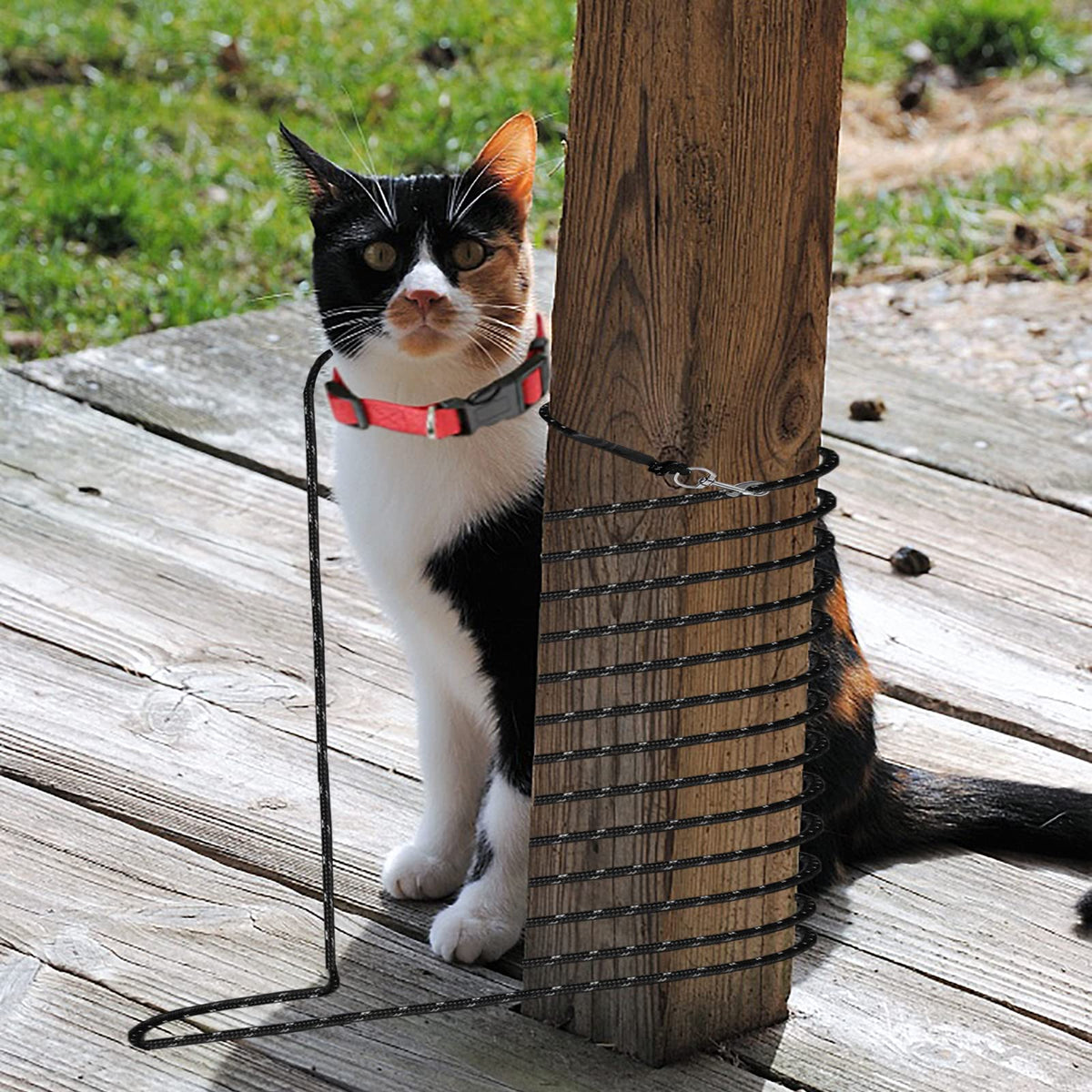 Extra Long Cat Leash for Yard, 9M/30FT Lightweight Outdoor Cat Leash Long Light Extension, Long Thin Lead for Rabbits, Kitten, Puppy and Small Animals đ All In One Marketplace Canada