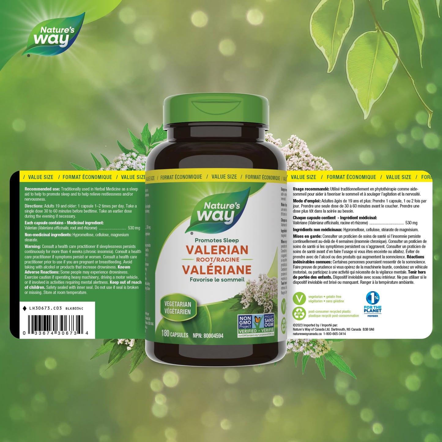 Nature's Way Valerian Root, Sleep Aid to Help Promote Sleep, Value Size, 180 Vegetarian Capsules ๐ All In One Marketplace Canada