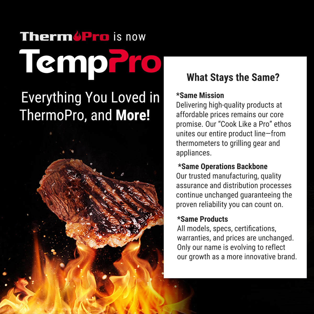 TempPro TP20 500FT Wireless Digital Thermometer with Dual Temperature Probe, Digital Cooking Food Thermometer Wireless for Smoker BBQ Grill Thermometer Beef Steak Turkey Thermometer ๐ All In One Marketplace Canada