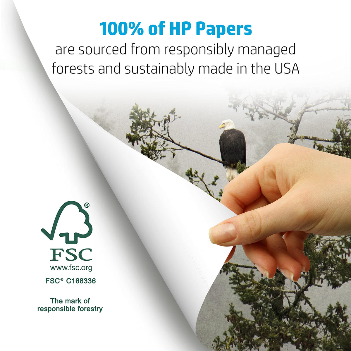 HP Printer Paper 8.5x11 Office 20 lb 5 Ream Case 2500 Sheets 92 Bright Made in USA FSC Certified Copy Paper HP Compatible 112150C ๐ All In One Marketplace Canada