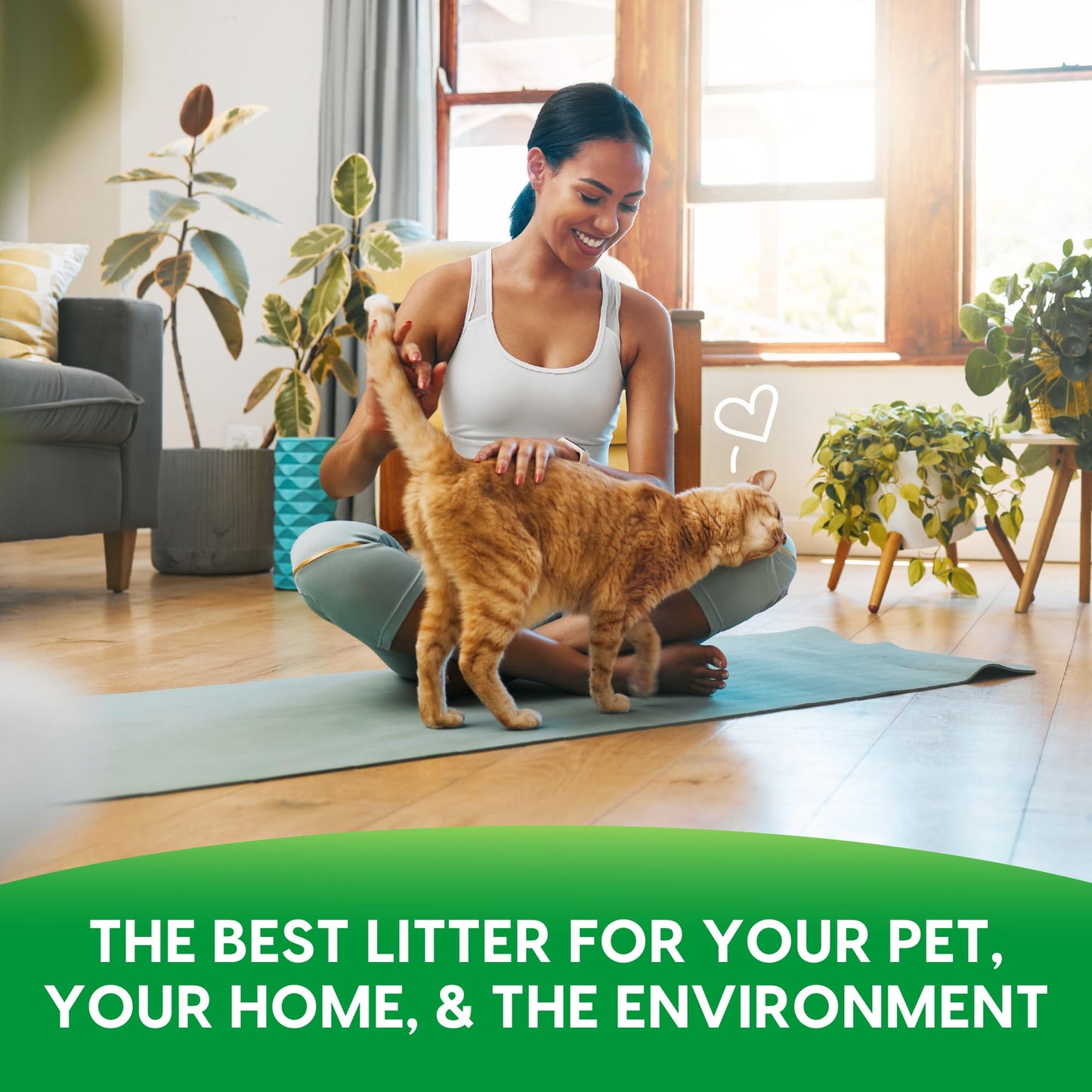 Fresh News Post Consumer Paper Pellet Cat Litter, 12-Pound ๐ All In One Marketplace Canada