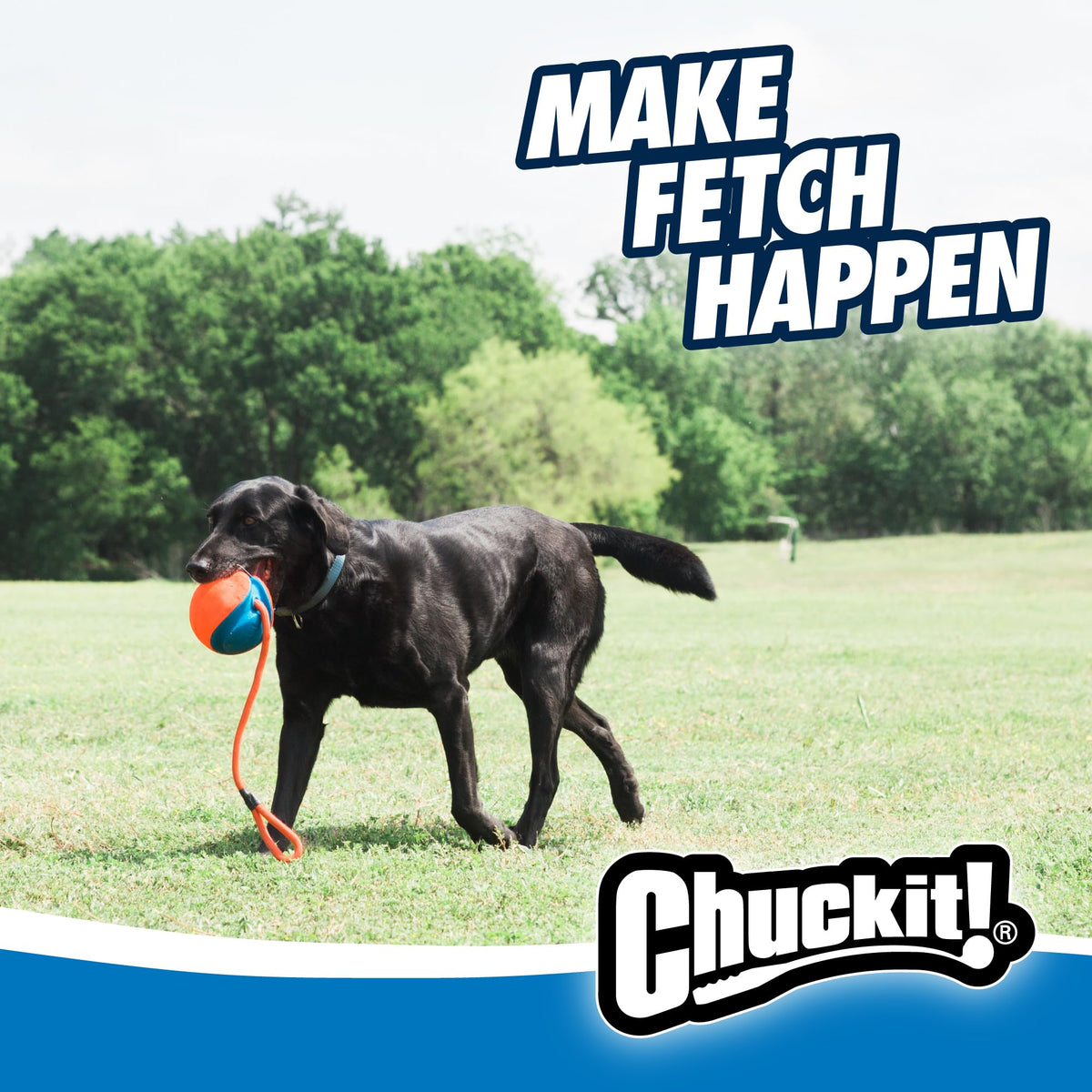 CHUCKIT! 32220 Pet Supplies Dog Toys ๐ All In One Marketplace Canada