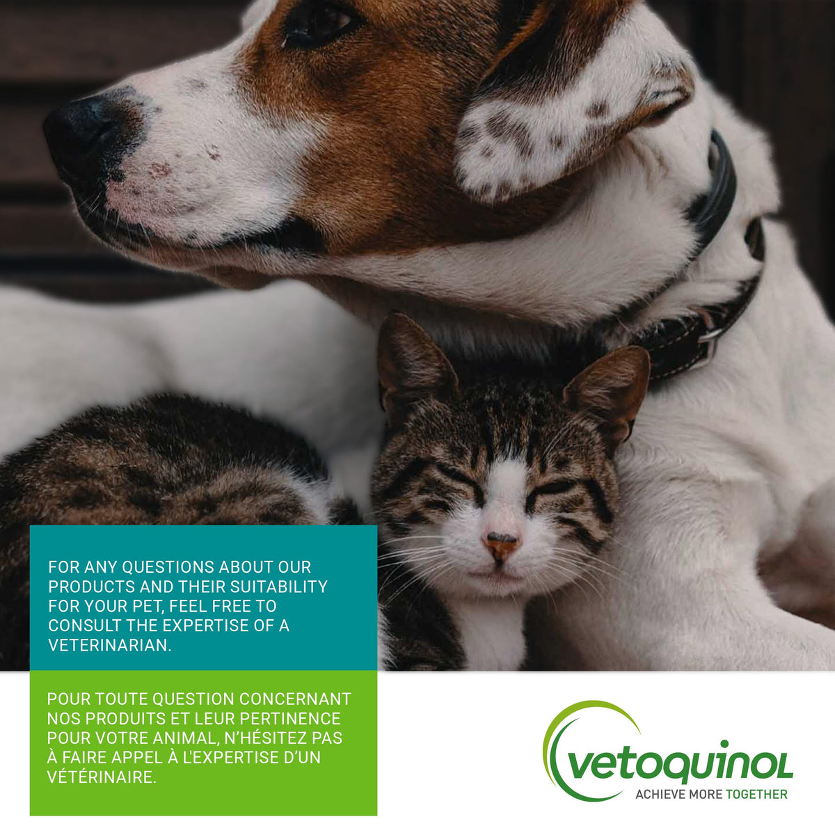 Vetoquinol Zylkene – Veterinary Health Product - Calm and Relaxed Behaviour in Pets During Stressful Events - 75 mg - Cats and Small Dogs - 30 Caps 🍁 All In One Marketplace Canada