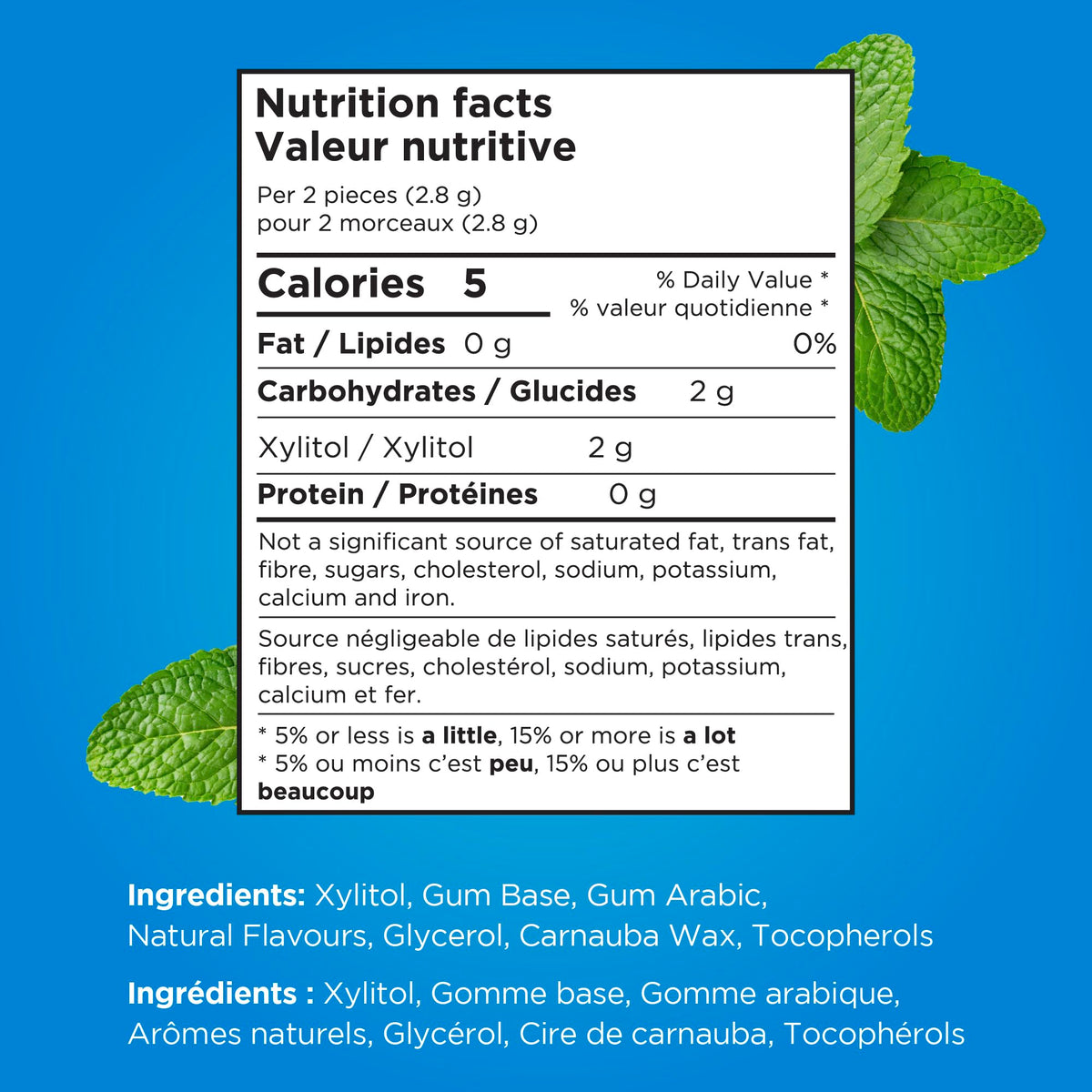 PUR Gum | Aspartame Free Chewing Gum | 100% Xylitol | Natural Peppermint Flavoured Gum, 55 Pieces (Pack of 6) ๐ All In One Marketplace Canada