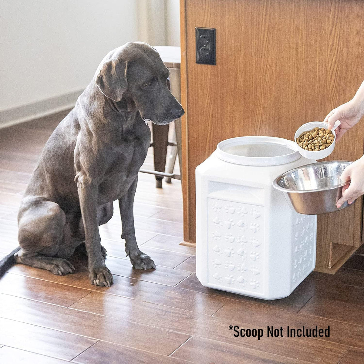 Gamma2 Vittles Vault Dog Food Storage Container (Durable, Food Safe, BPA Free Storage, Made in the USA with Recycled Materials)Holds up to 35 pounds ๐ All In One Marketplace Canada