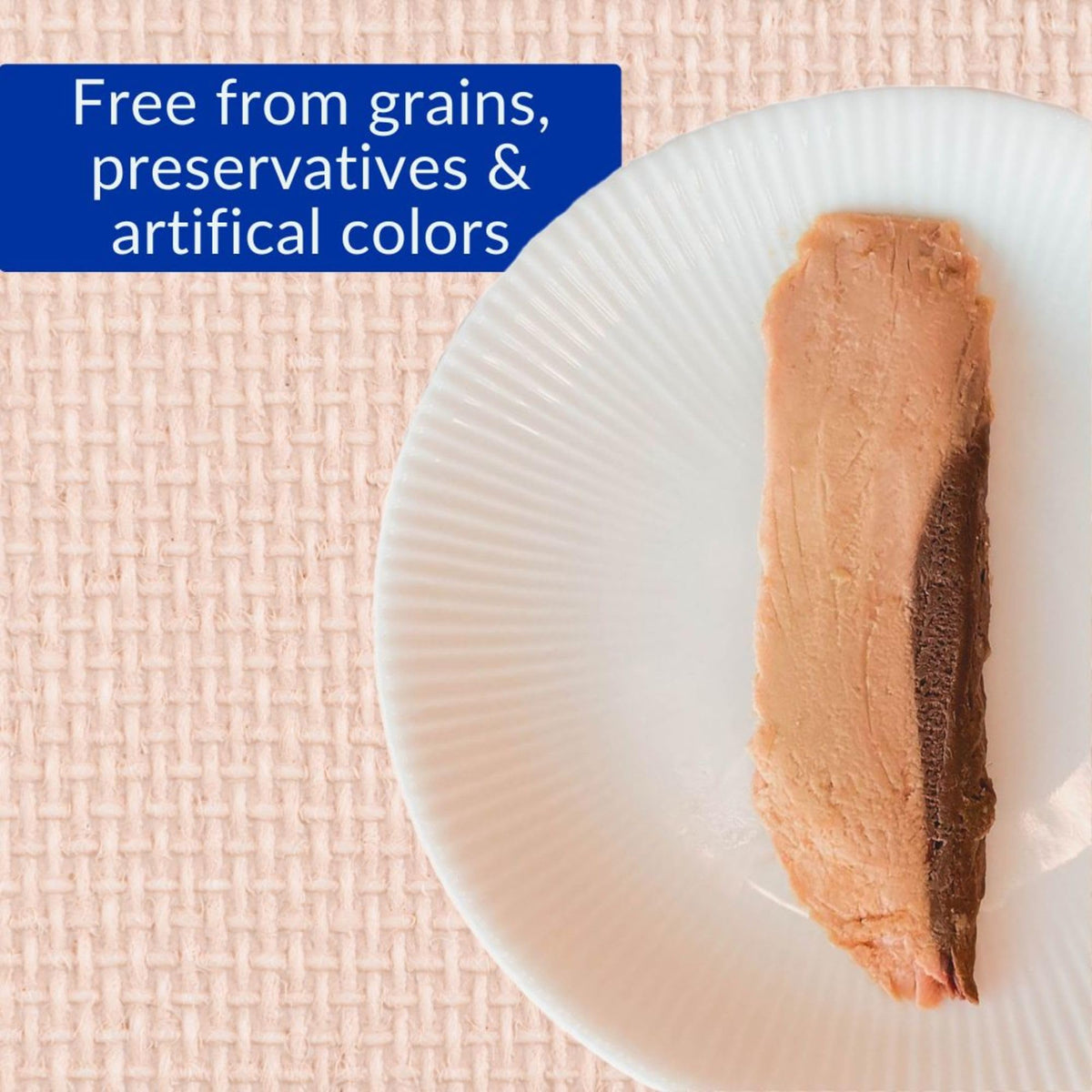 INABA Premium Grilled Tuna Fillet Cat Treats with Vitamin E and Green Tea Extract, 14.7 Grams Each, Pack of 10, Variety Box ๐ All In One Marketplace Canada