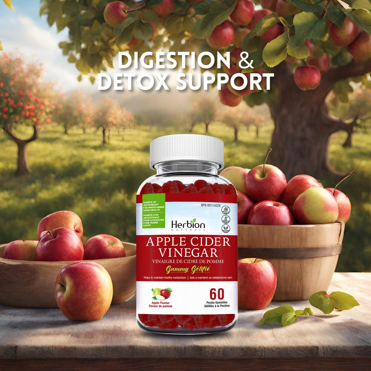 Herbion Naturals Apple Cider Vinegar Gummy with Folic Acid, Pomegranate, Beetroot & vitamin B12, source of Antioxidants to maintain Good Health & Metabolism, 60 Pectin Gummies for Adults, Apple Flavour ๐ All In One Marketplace Canada