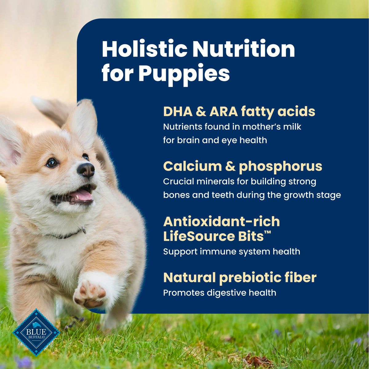 Blue Buffalo Life Protection Formula Puppy Dry Dog Food, Chicken & Brown Rice,11.7 Kg/26 lbs 🍁 All In One Marketplace Canada