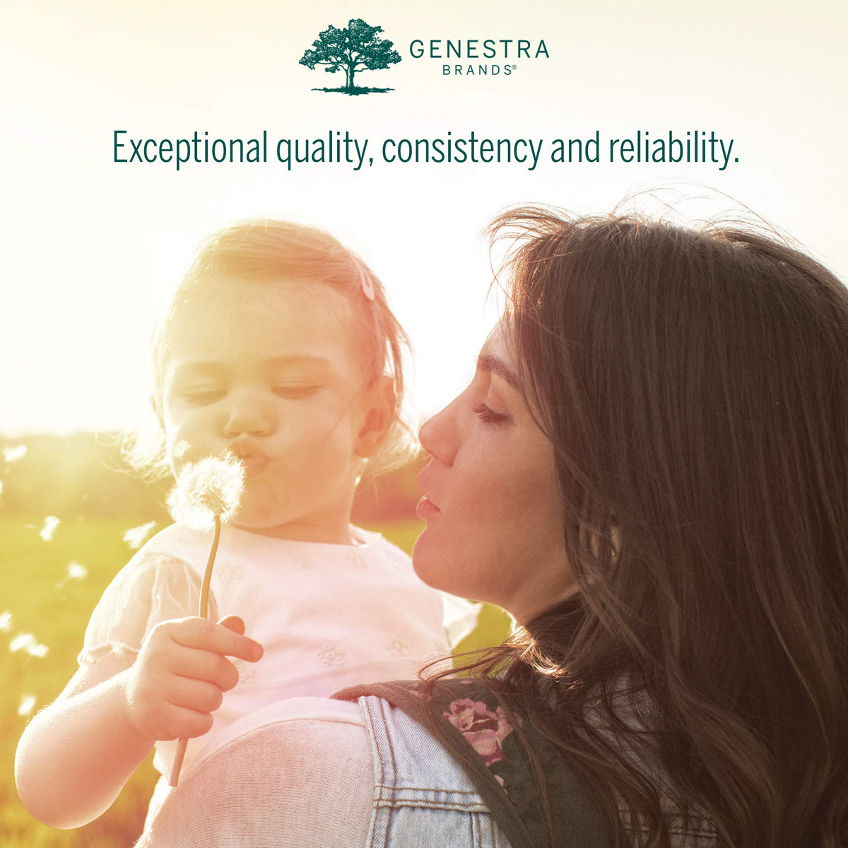 Genestra Brands Col-Sterol - Beta Sitosterol Plant Sterol Supplement - For Heart Health & Cholesterol Support - Herbal Supplement - Dairy Free & Gluten Free - 60 Softgel Capsules ๐ All In One Marketplace Canada