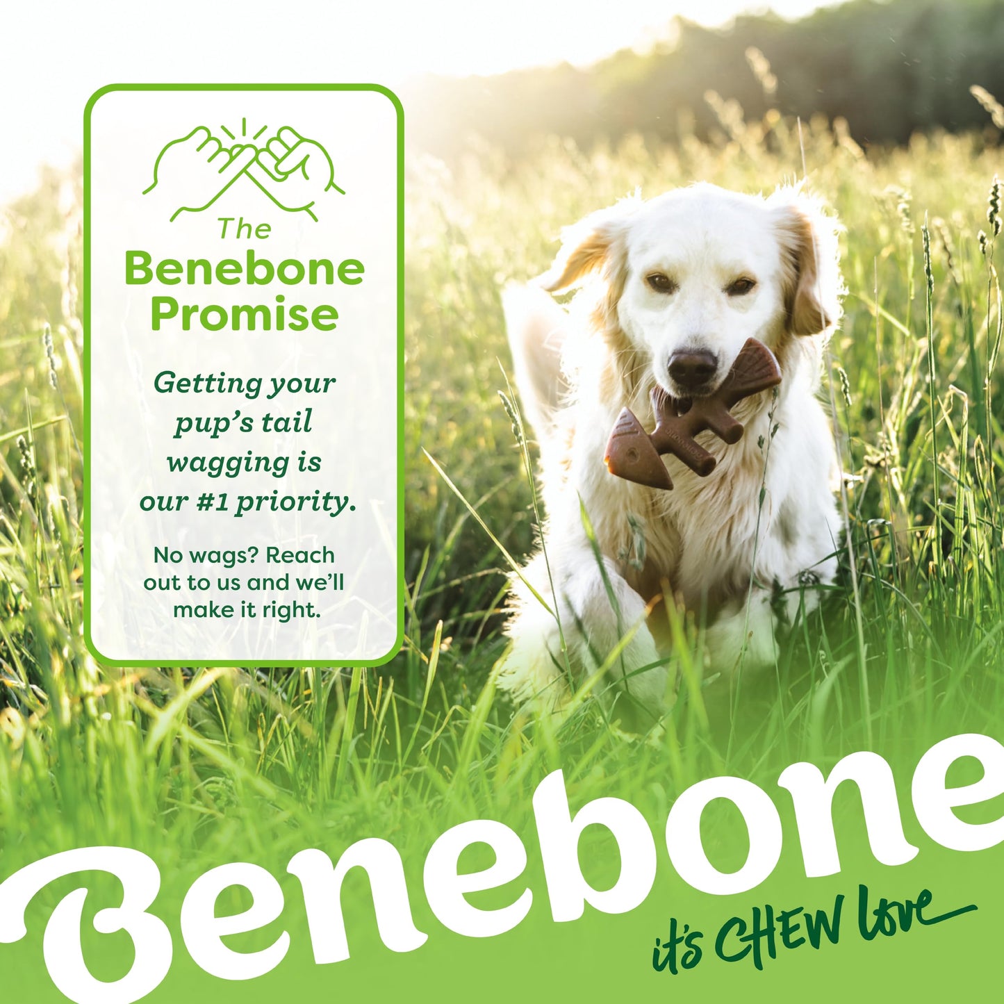 Benebone Large 4-Pack Dog Toys for Aggressive Chewers – Under 90 lbs 🍁 All In One Marketplace Canada