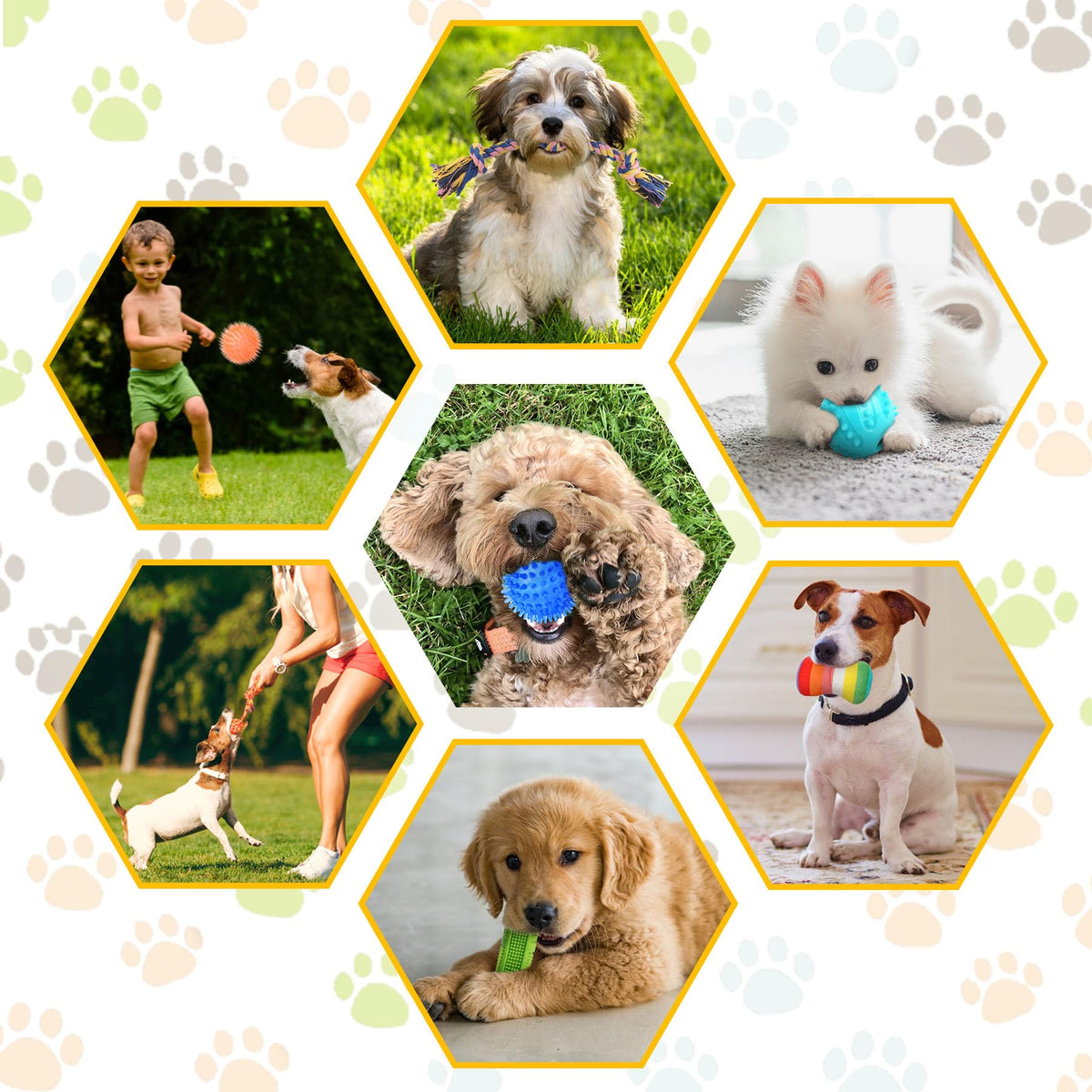 KIPRITII Dog Toys for Puppy Teething - 23 Pack Puppy Teething Toys for Boredom, Pet Dog Toothbrush Dog Toys with Rope Toys, Dog Treat Ball and More Squeaky Toy for Puppies and Small Dogs ๐ All In One Marketplace Canada