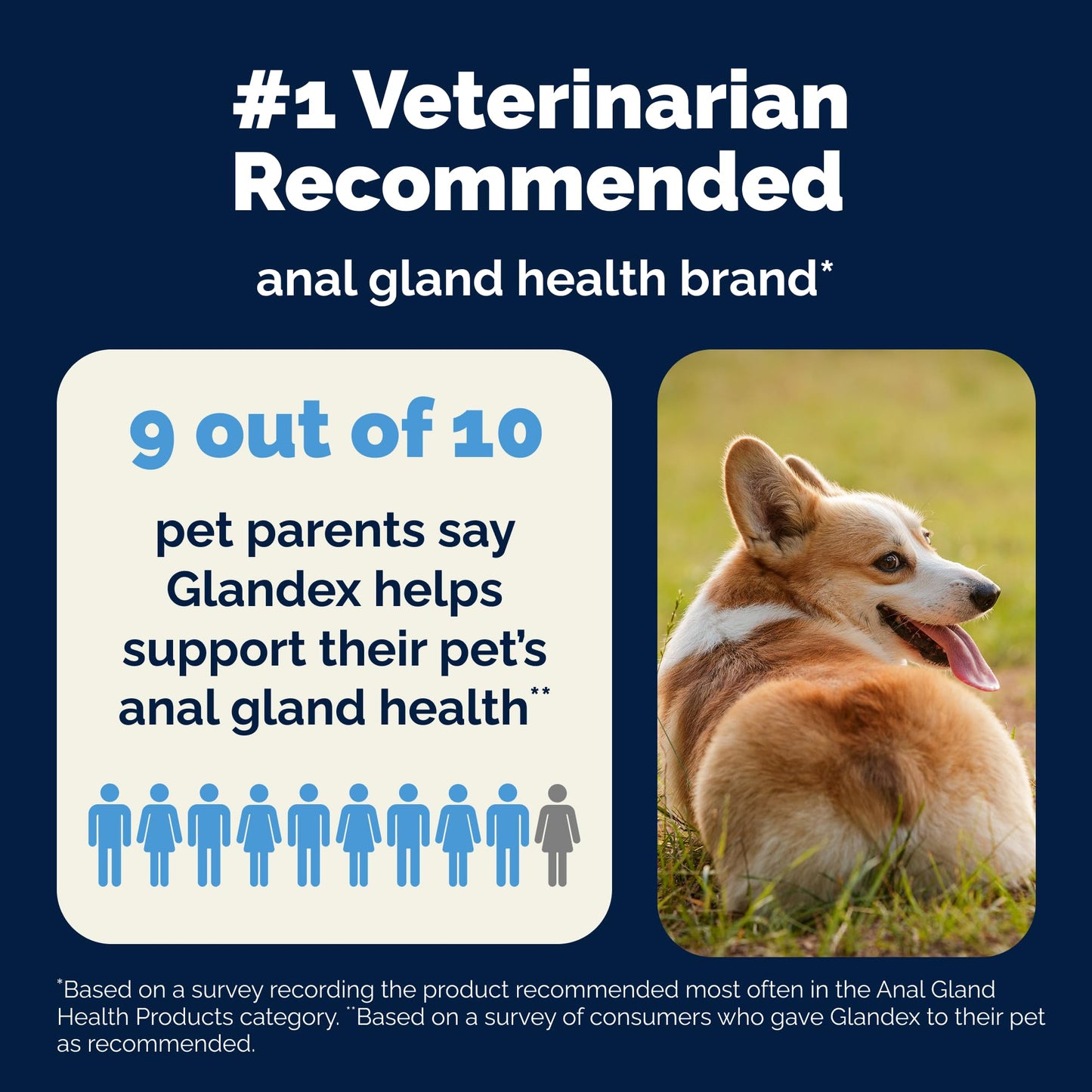 Vetnique Glandex Anal Gland Soft Chews for Dogs, Anal Gland Support, Boot The Scoot Fibre Supplement with Pumpkin, Unique Fiber Blend Probiotics & Digestive Enzymes (Peanut Butter, 60ct Chews) ๐ All In One Marketplace Canada
