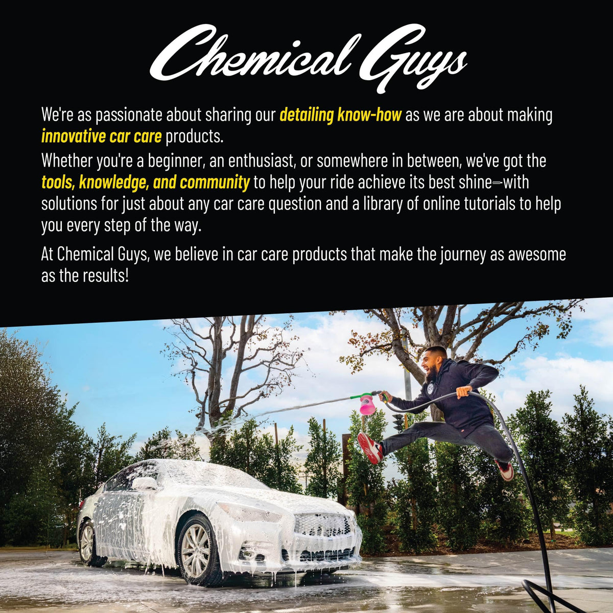 Chemical Guys All in The Details Interior Detailing Brush Set (Great for Cars, Trucks, SUVs, RVs, & More) ๐ All In One Marketplace Canada