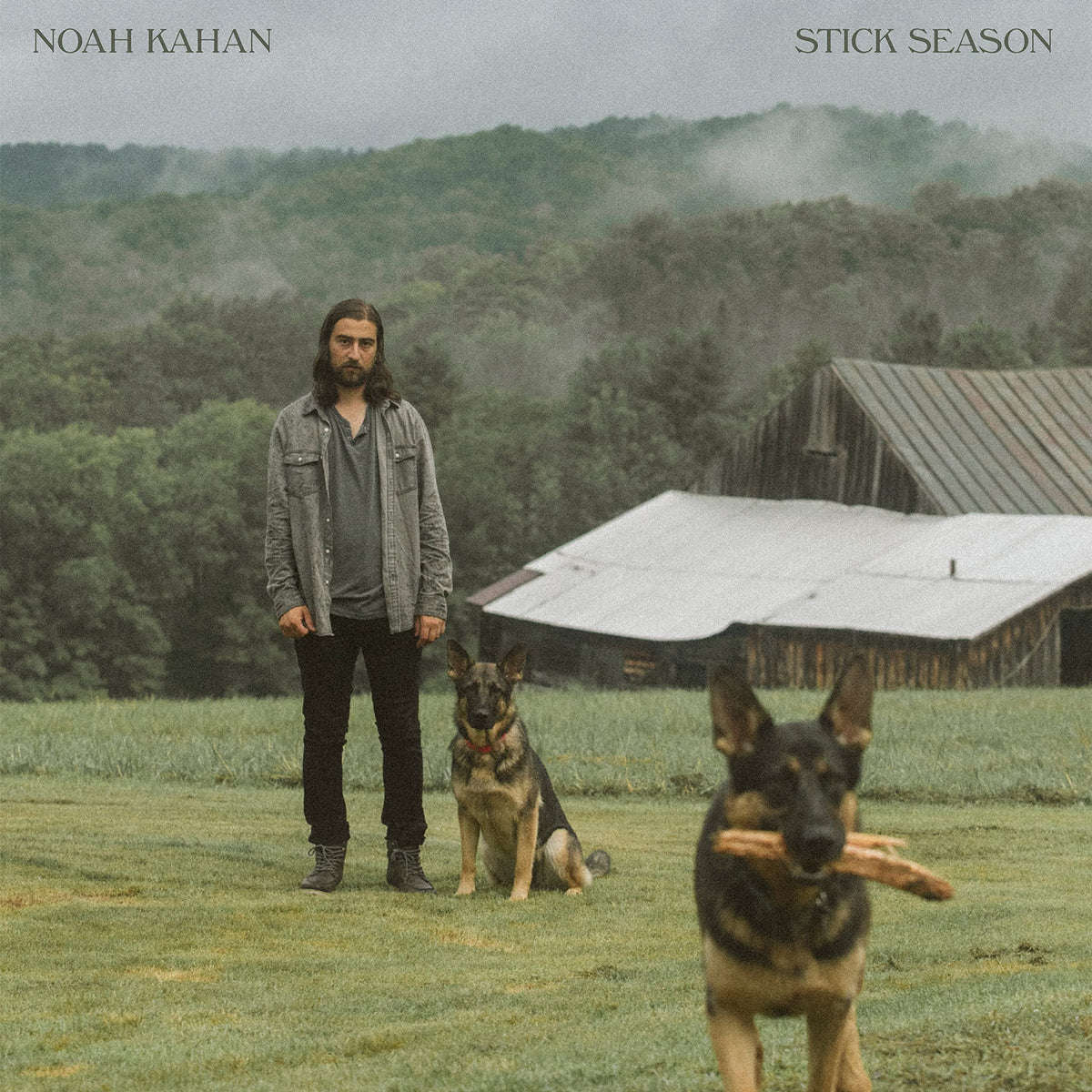 Stick Season (Vinyl) ๐ All In One Marketplace Canada