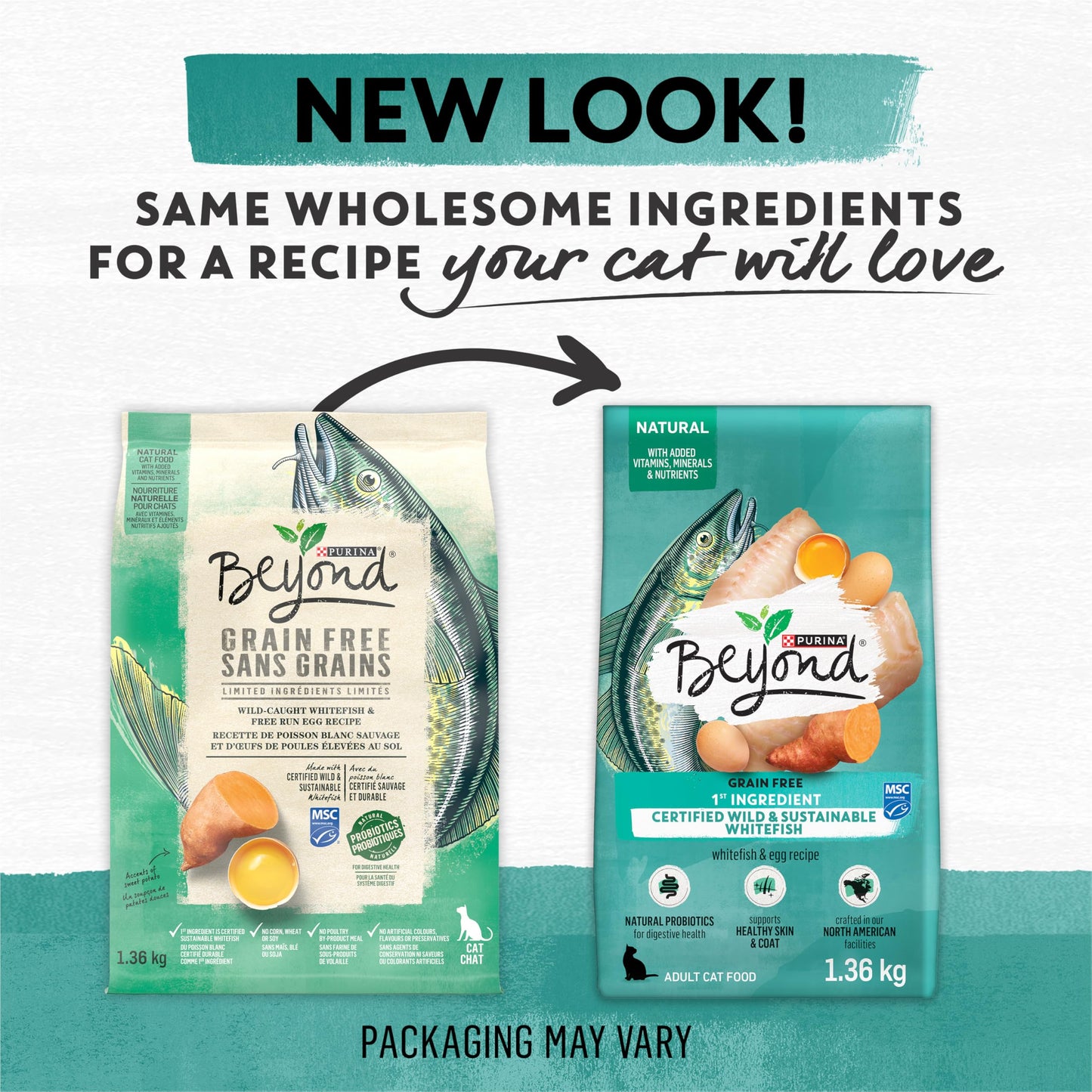 Beyond Grain Free Natural Dry Cat Food, Wild-Caught Whitefish & Free Run Egg - 2.26 kg Bag ๐ All In One Marketplace Canada