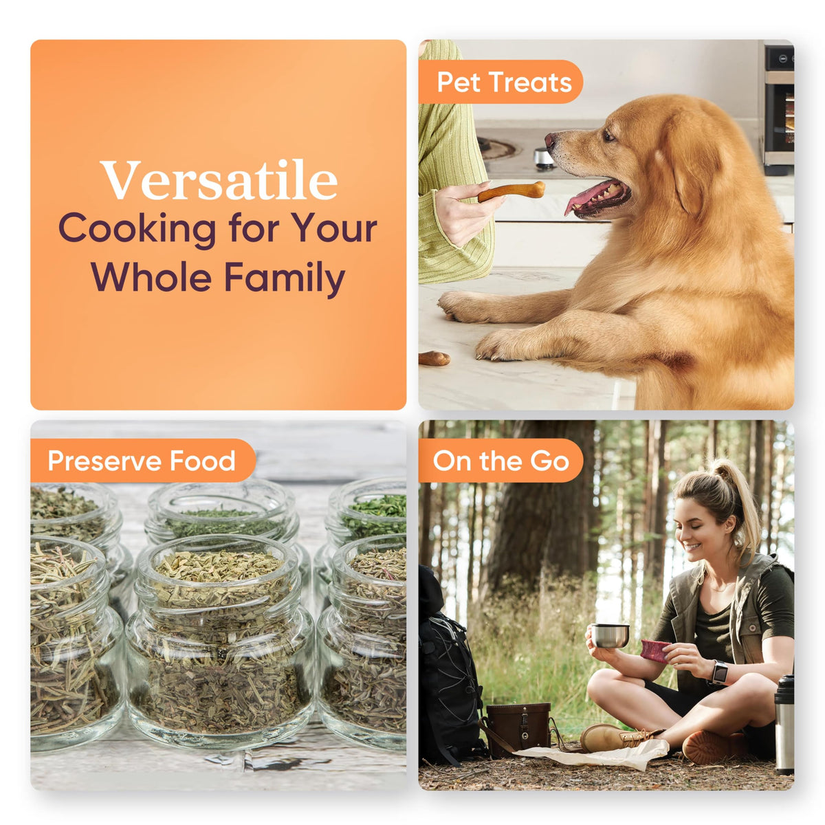 Cosori Food Dehydrator (50 Recipes) for Jerky, Vegetables Fruit, Meat, Dog Treats, Herbs, and Yogurt, Dryer Machine with Temperature Control, 6 Stainless Steel Trays, Rear-Mounted Fan, Silver π All In One Marketplace Canada
