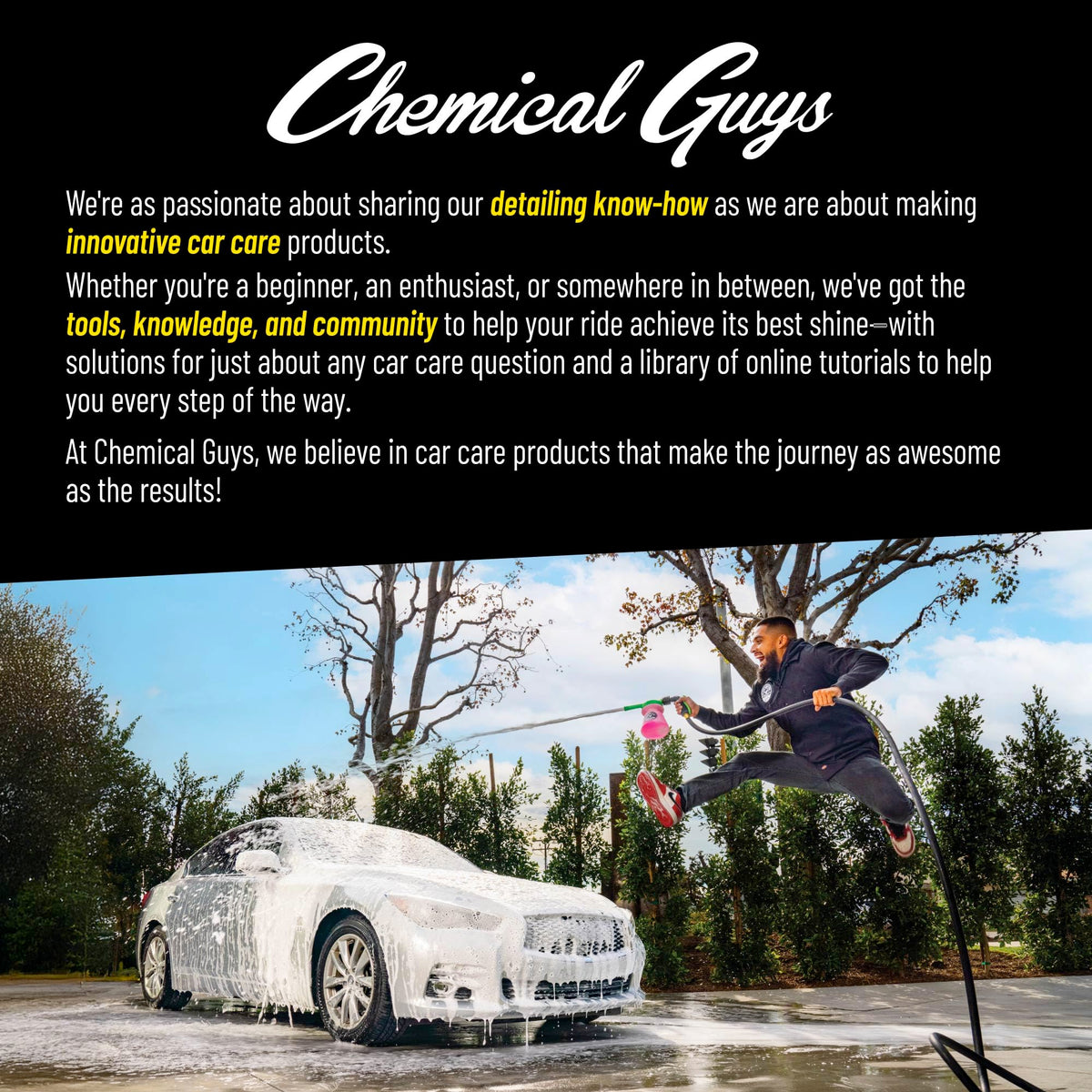 Chemical Guys Wheelie All Exterior Surface and Wheel Brush (Safe for Cars, Trucks, SUVs, RVs, Motorcycles, & More) Green ๐ All In One Marketplace Canada