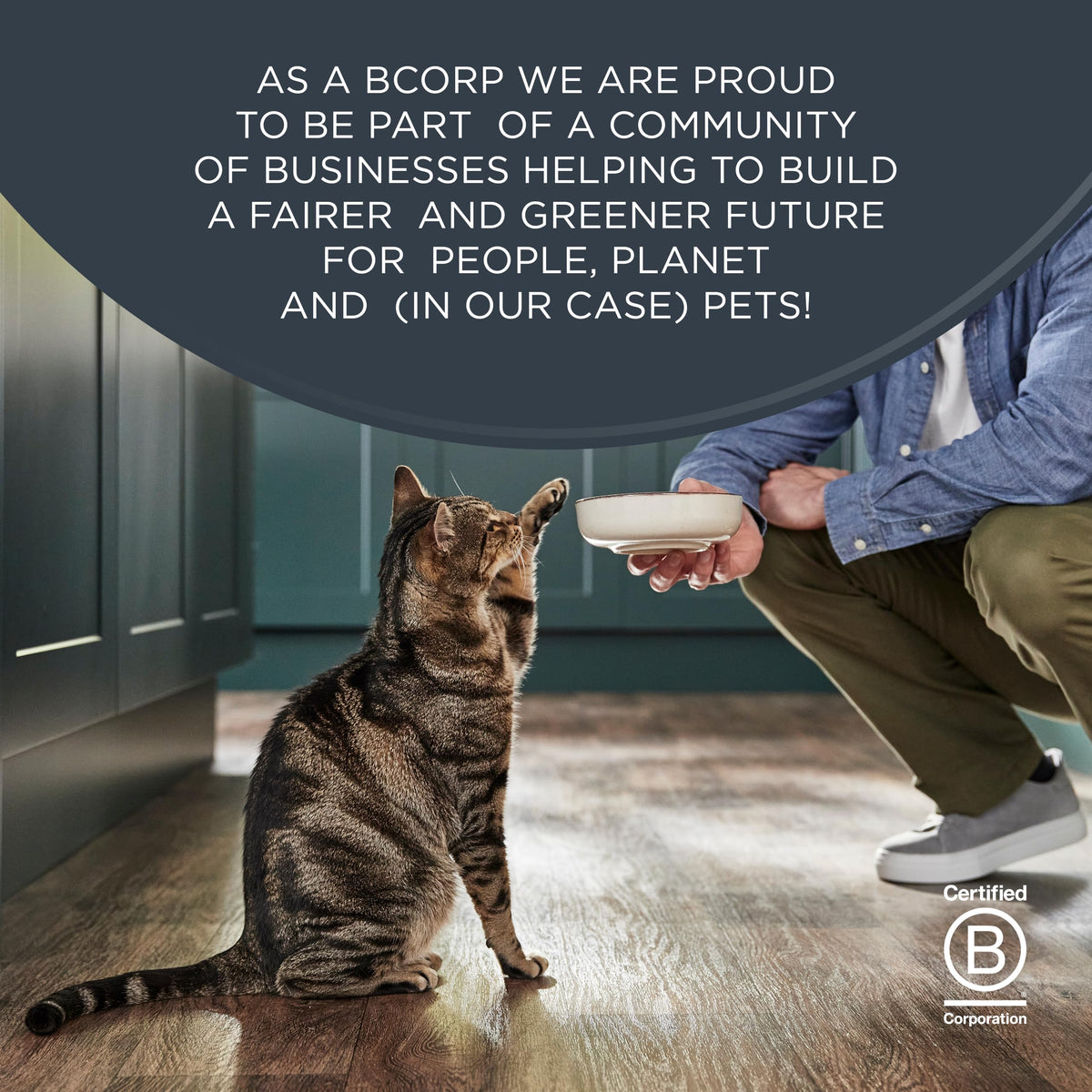 Reveal Natural Wet Cat Food in Broth, Limited Ingredient Grain Free Canned Cat Food, Protein with No Artificial Additives, Fish Variety in Broth (12 x 2.47 oz Cans) π All In One Marketplace Canada