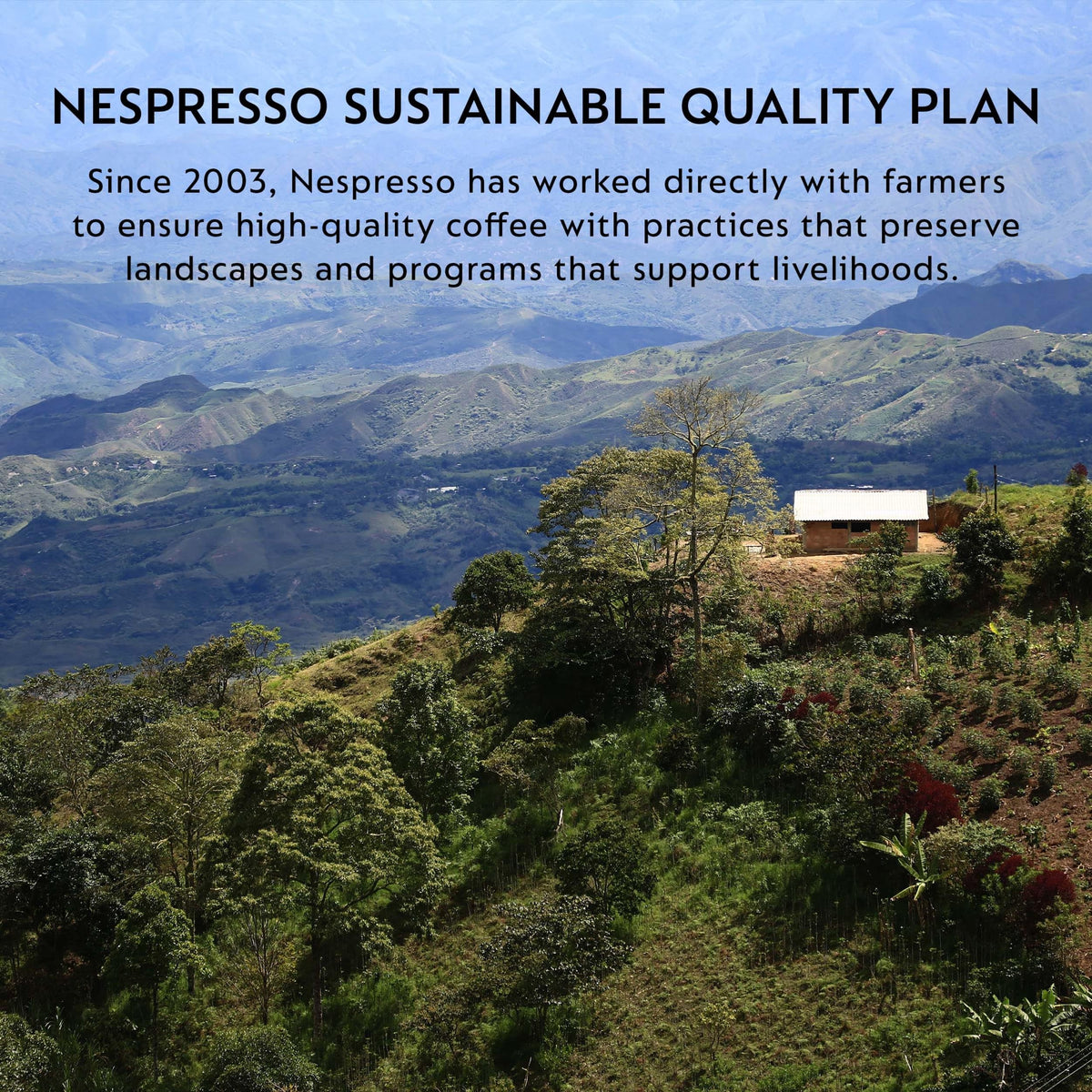 Nespresso Original Ristretto Coffee Pods, Dark Roast, Intensity 10, 50 Pods π All In One Marketplace Canada